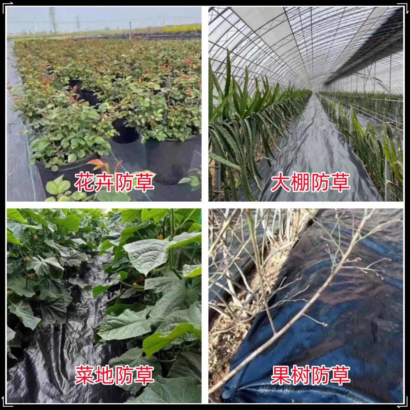清远市塑料薄膜防草布 - 一站式服务