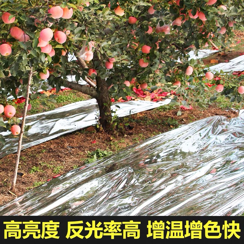 清远市工程膜果树反光膜 - 推荐